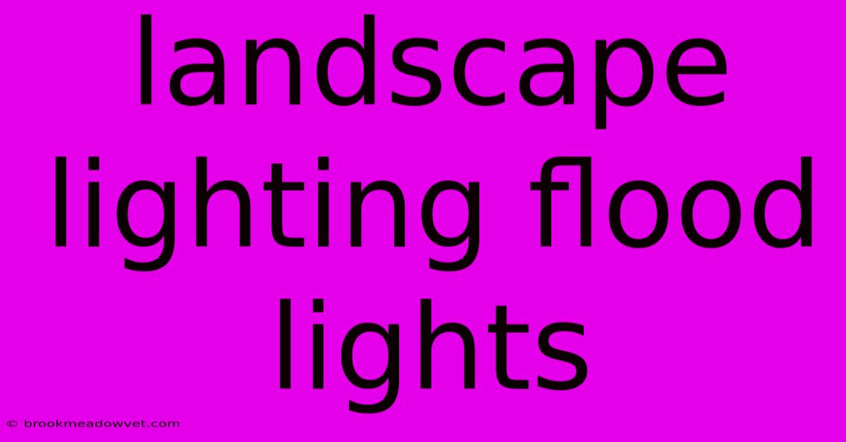 Landscape Lighting Flood Lights