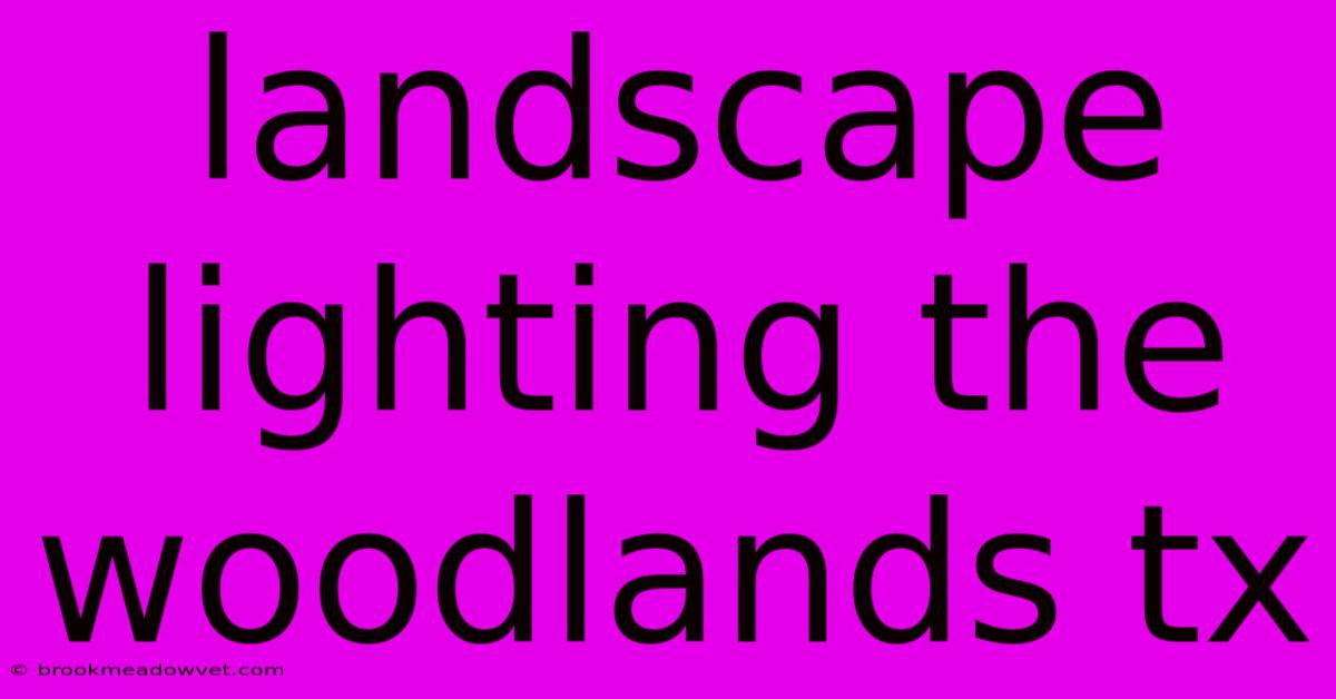 Landscape Lighting The Woodlands Tx