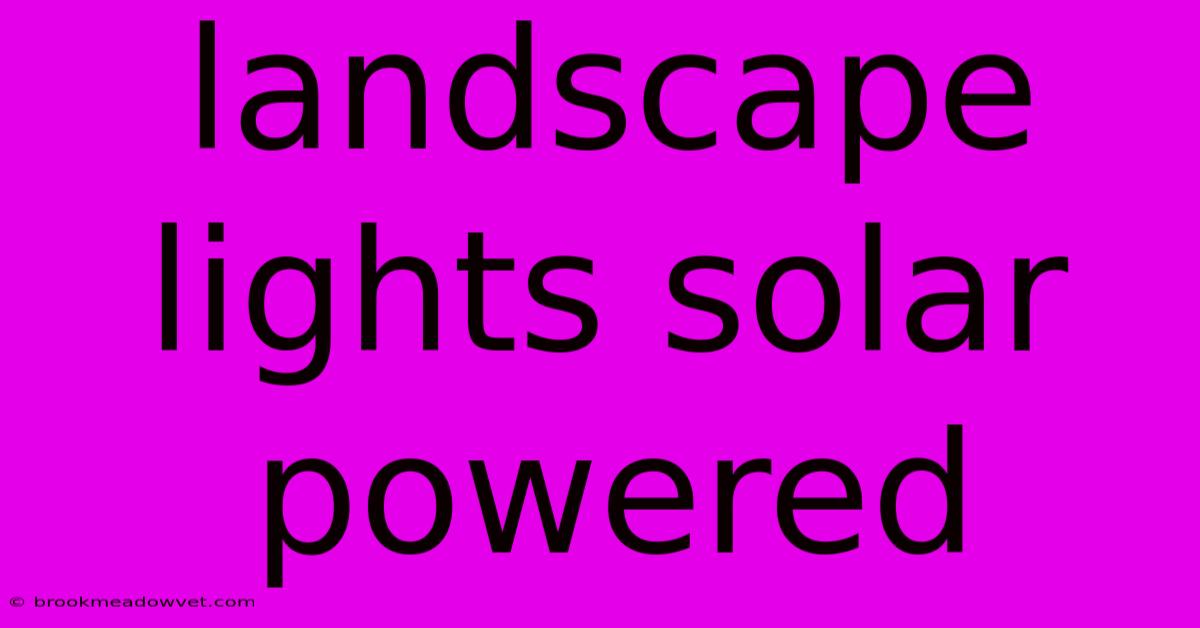 Landscape Lights Solar Powered