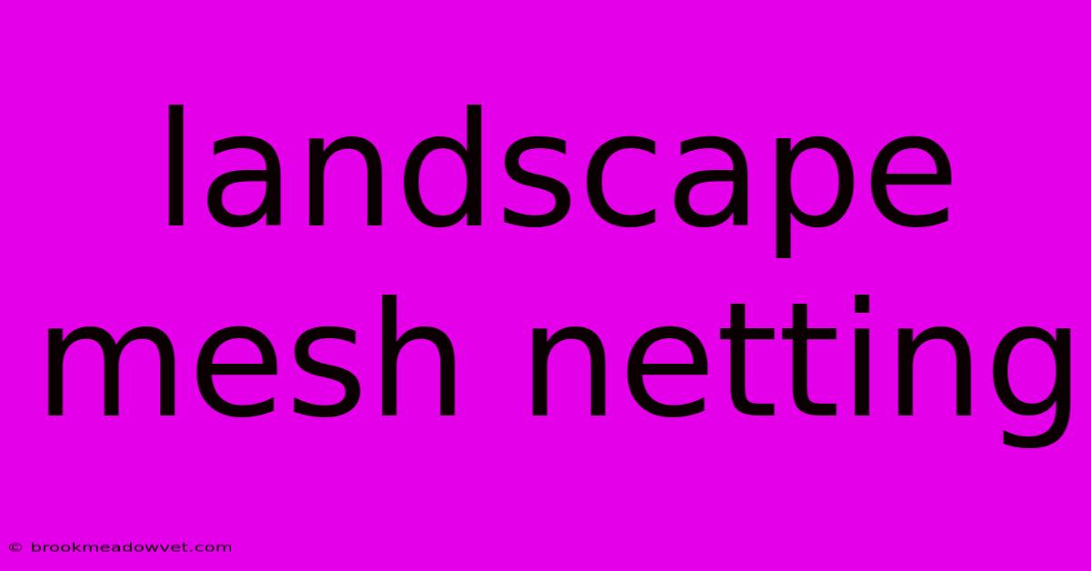 Landscape Mesh Netting