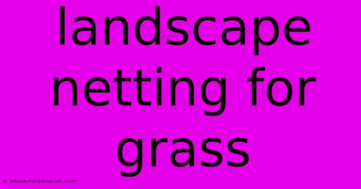 Landscape Netting For Grass