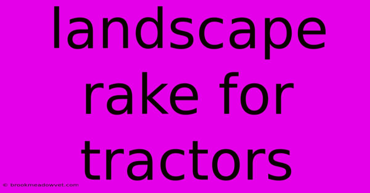 Landscape Rake For Tractors