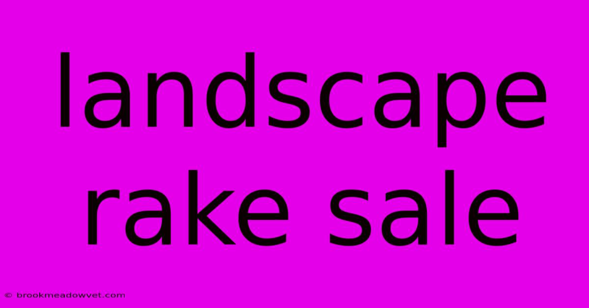 Landscape Rake Sale