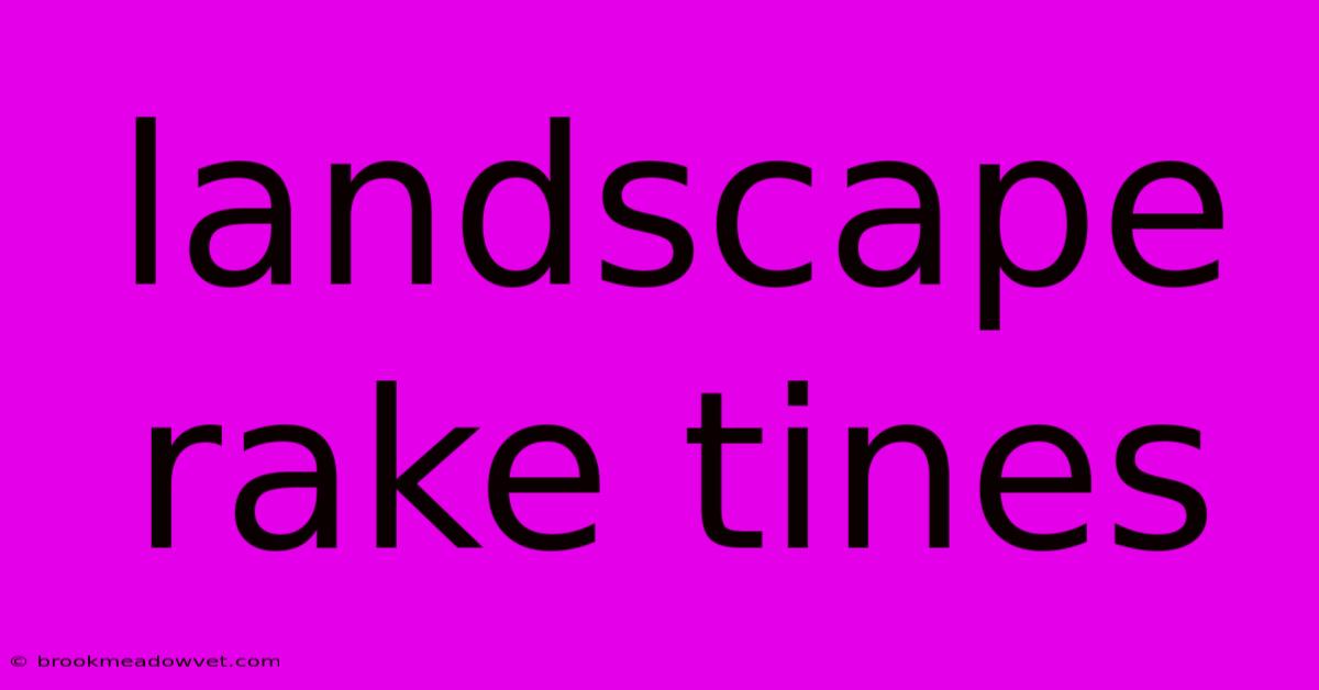 Landscape Rake Tines