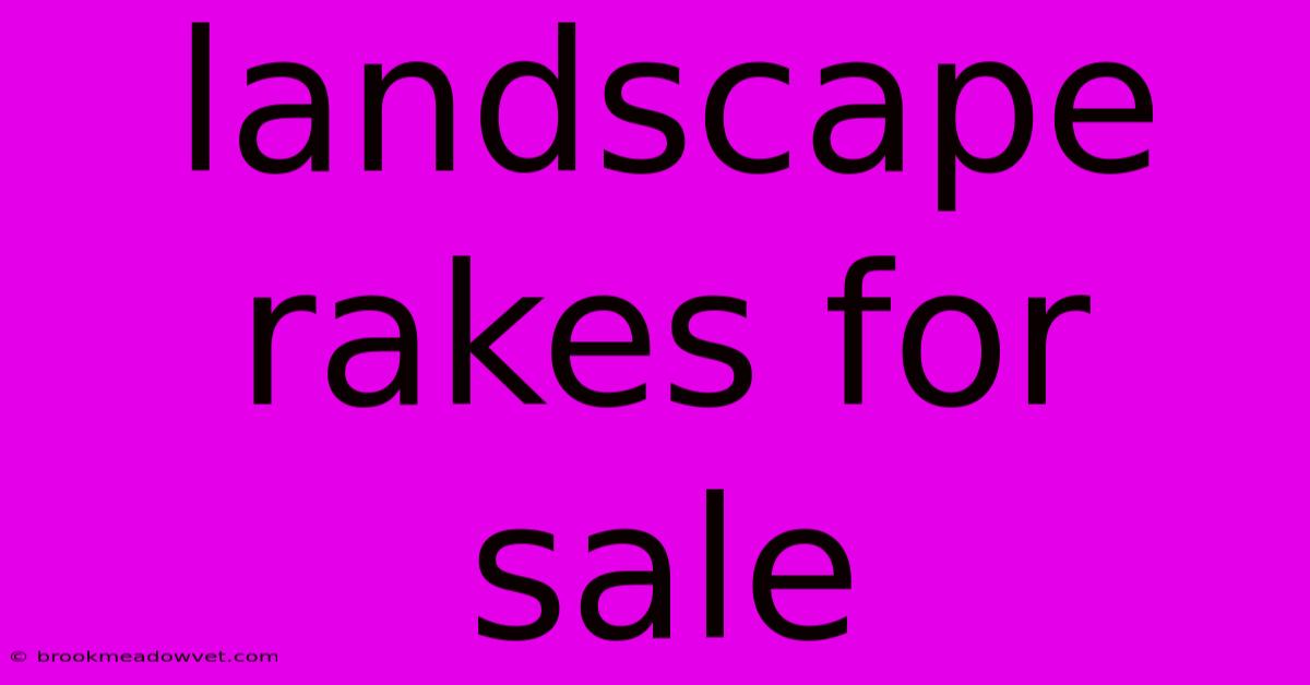 Landscape Rakes For Sale