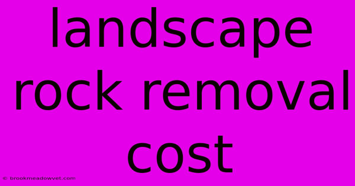 Landscape Rock Removal Cost