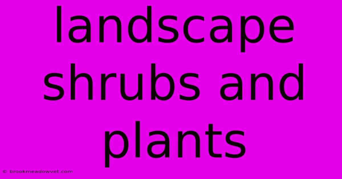 Landscape Shrubs And Plants