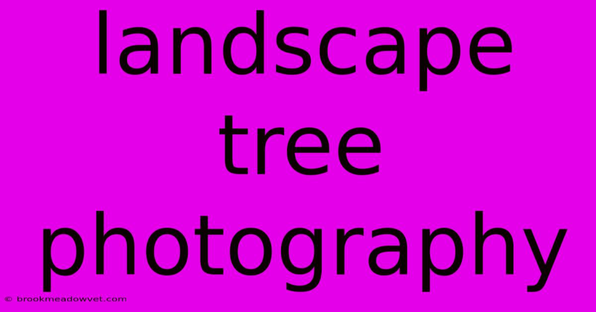 Landscape Tree Photography