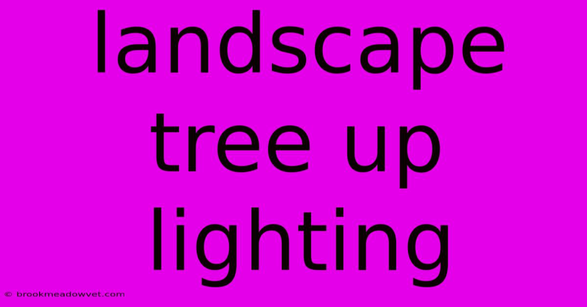 Landscape Tree Up Lighting