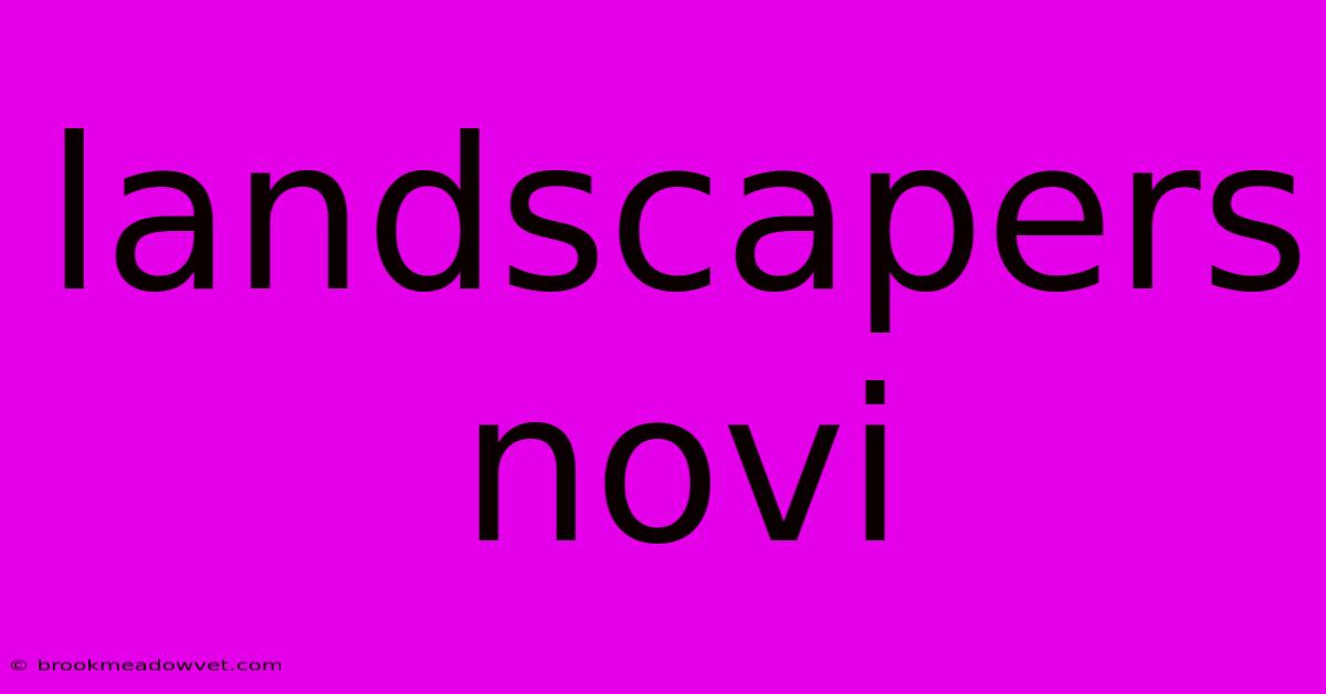 Landscapers Novi