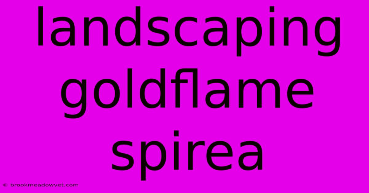 Landscaping Goldflame Spirea