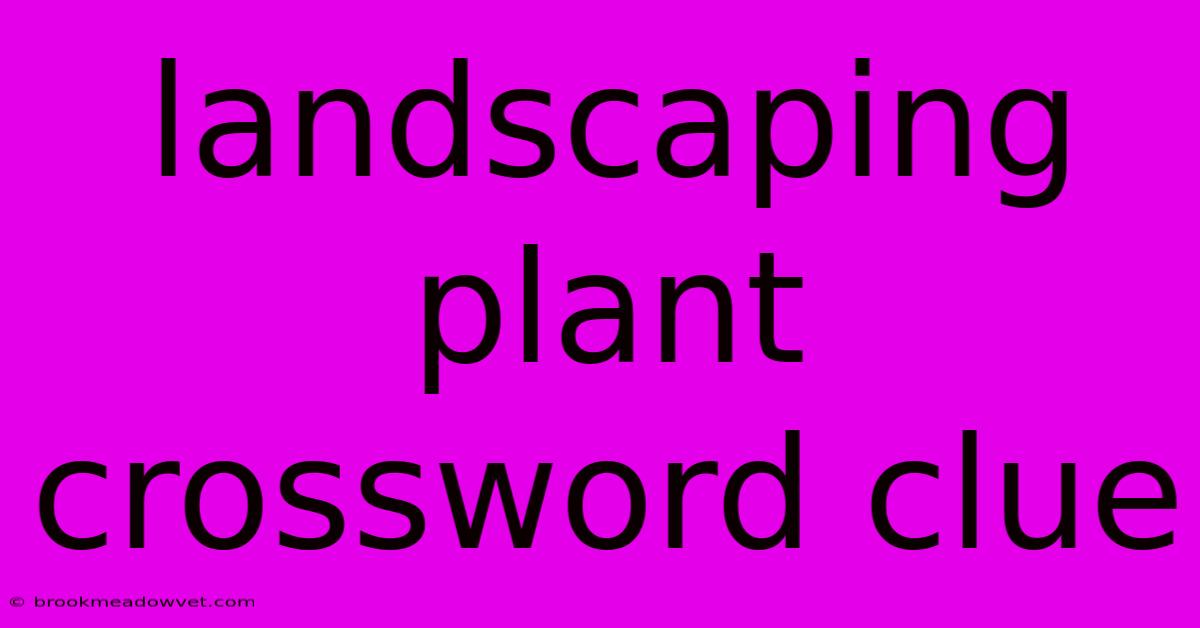 Landscaping Plant Crossword Clue