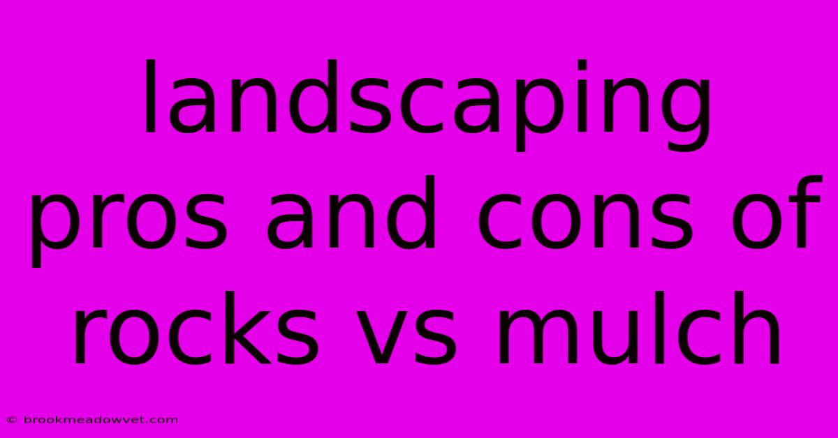 Landscaping Pros And Cons Of Rocks Vs Mulch