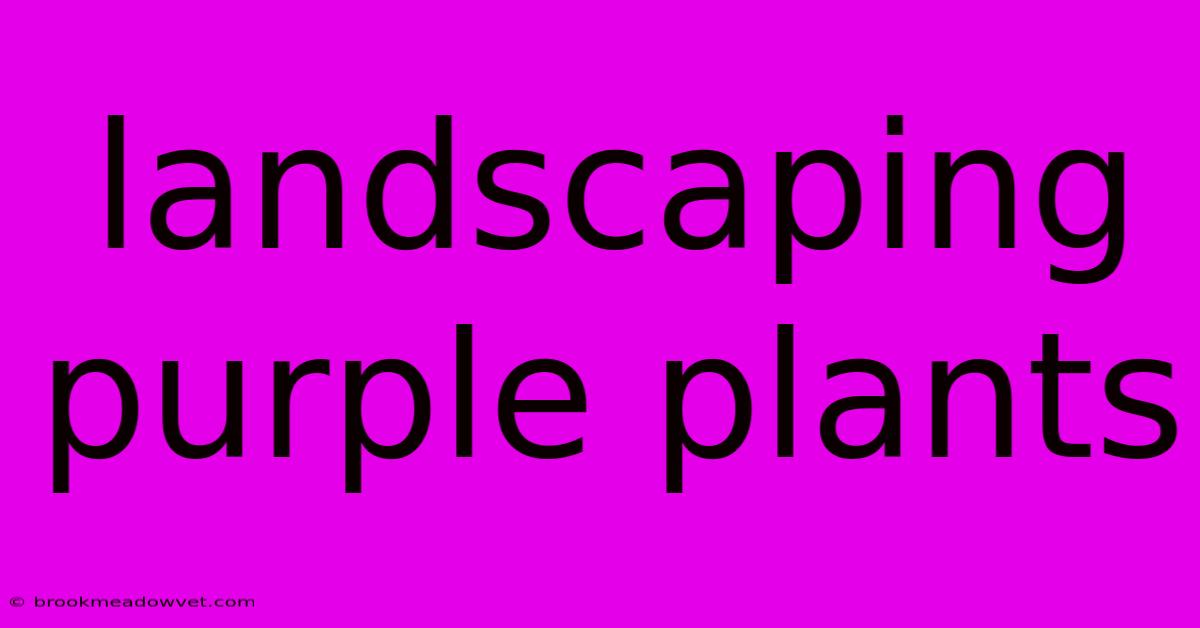 Landscaping Purple Plants