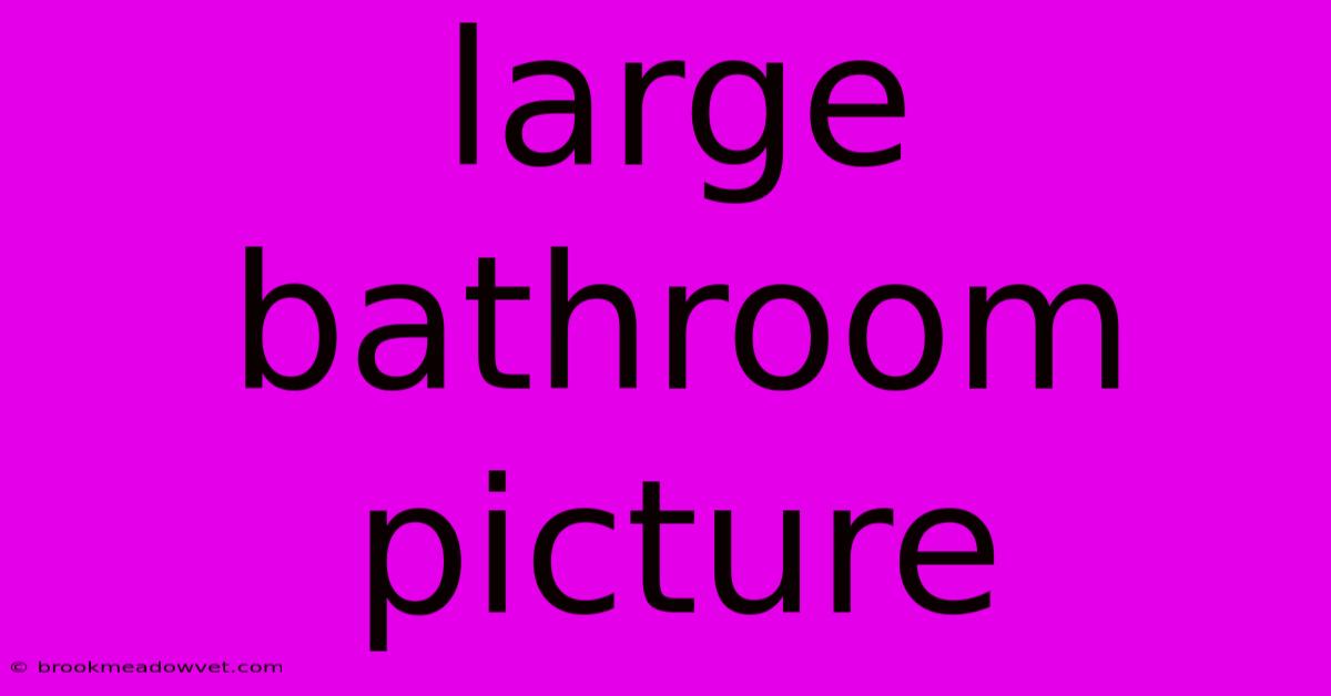 Large Bathroom Picture