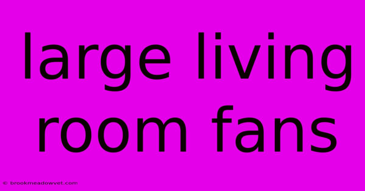 Large Living Room Fans