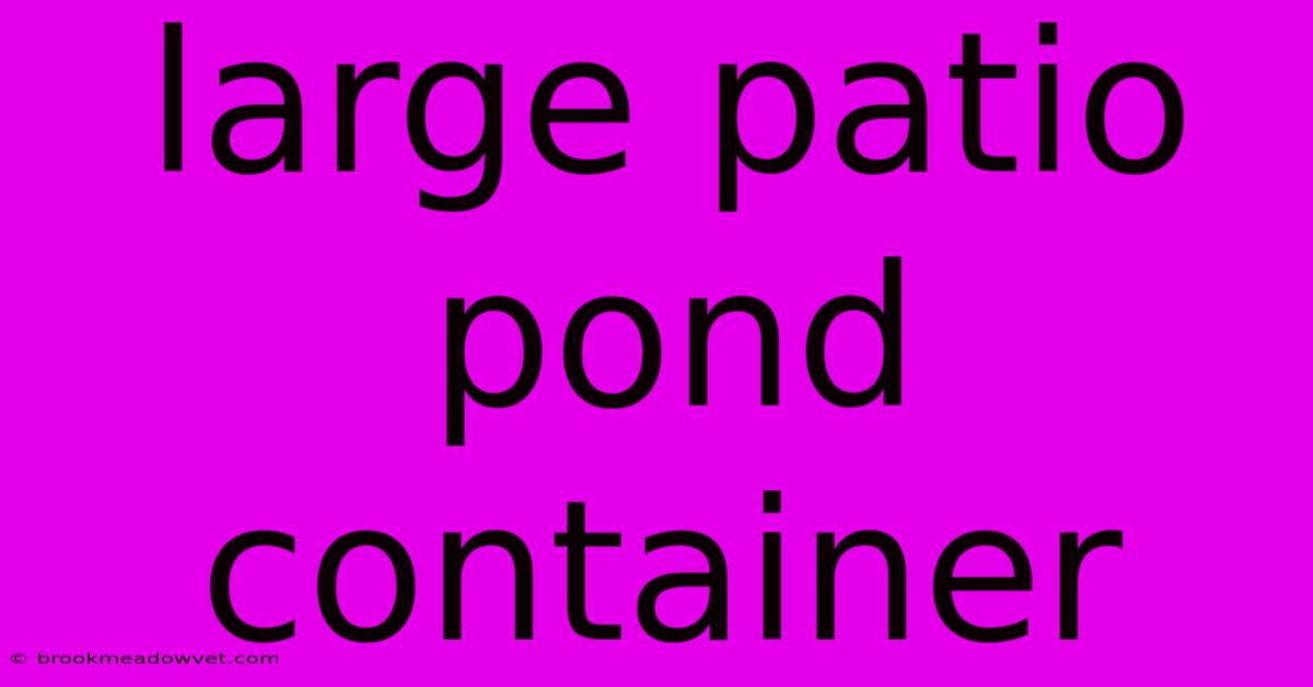 Large Patio Pond Container