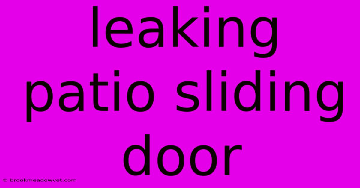 Leaking Patio Sliding Door