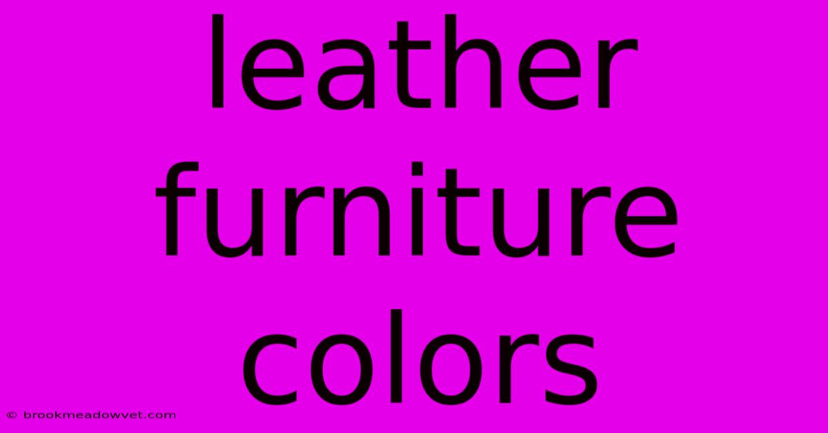 Leather Furniture Colors