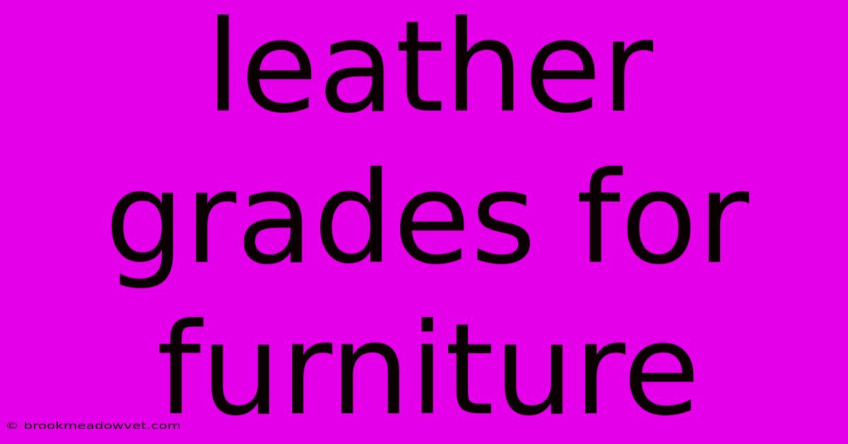 Leather Grades For Furniture