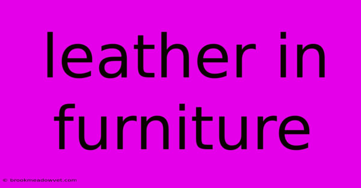 Leather In Furniture