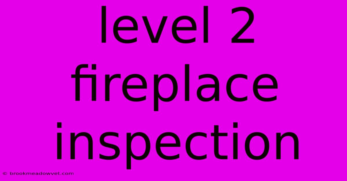 Level 2 Fireplace Inspection