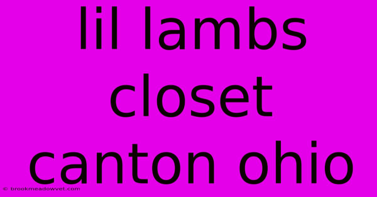 Lil Lambs Closet Canton Ohio