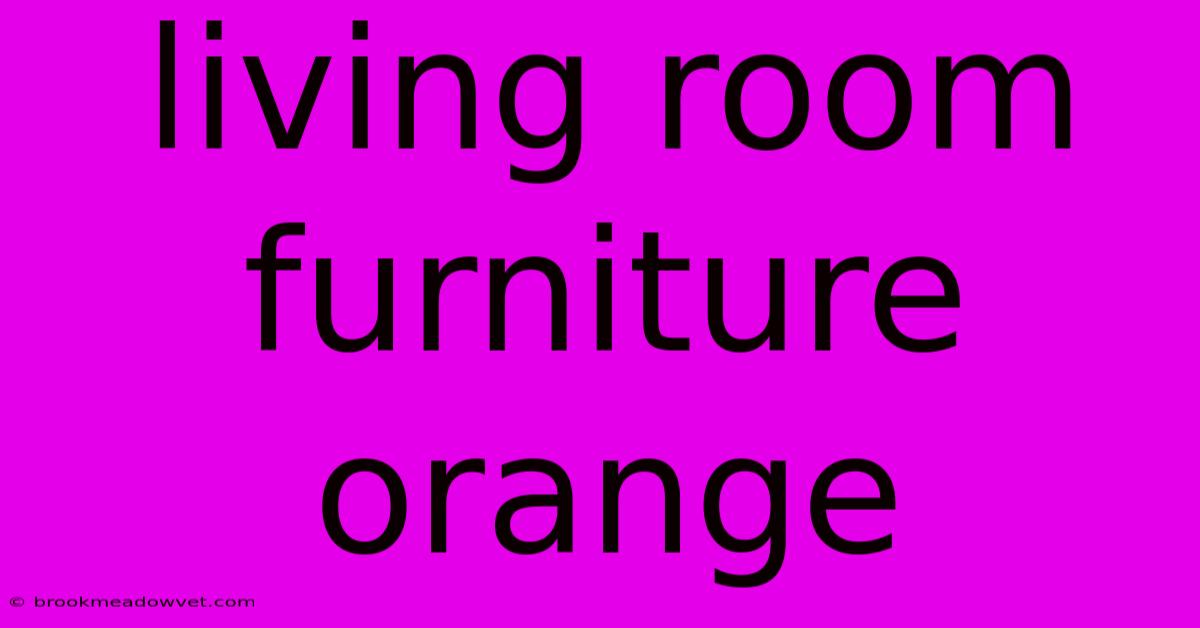 Living Room Furniture Orange