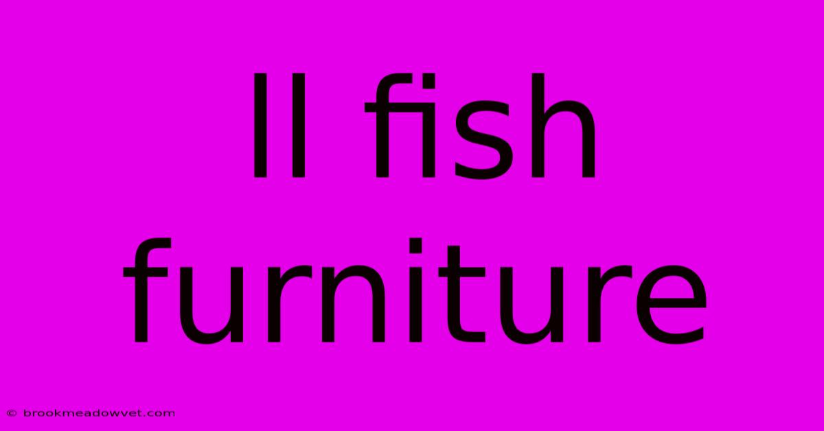 Ll Fish Furniture