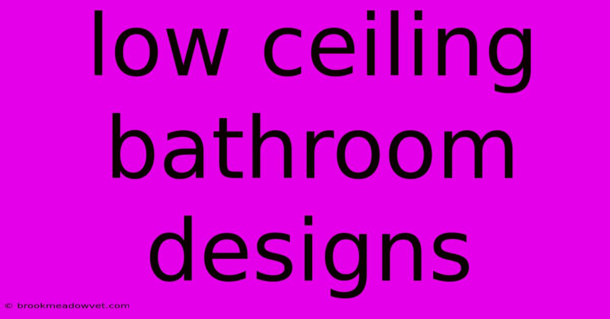 Low Ceiling Bathroom Designs