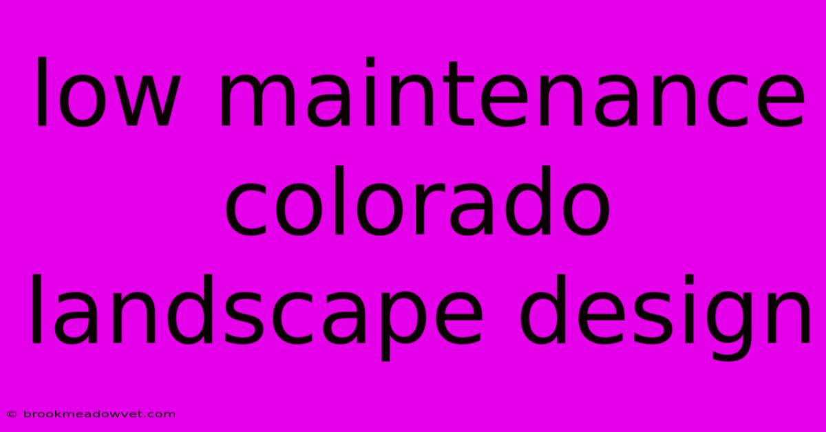 Low Maintenance Colorado Landscape Design