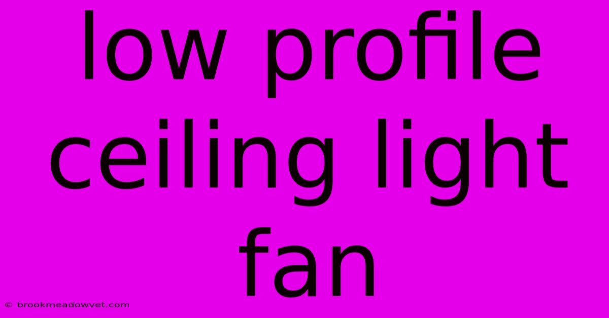 Low Profile Ceiling Light Fan