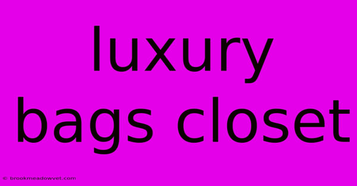 Luxury Bags Closet