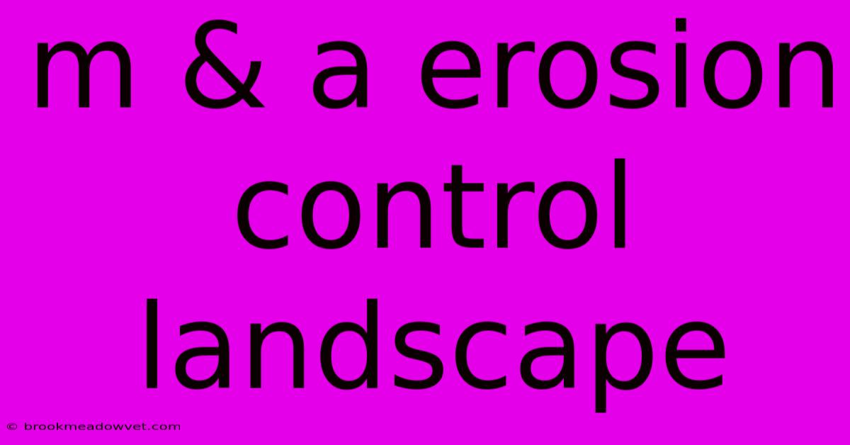 M & A Erosion Control Landscape