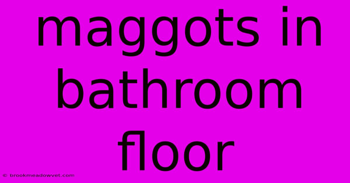 Maggots In Bathroom Floor