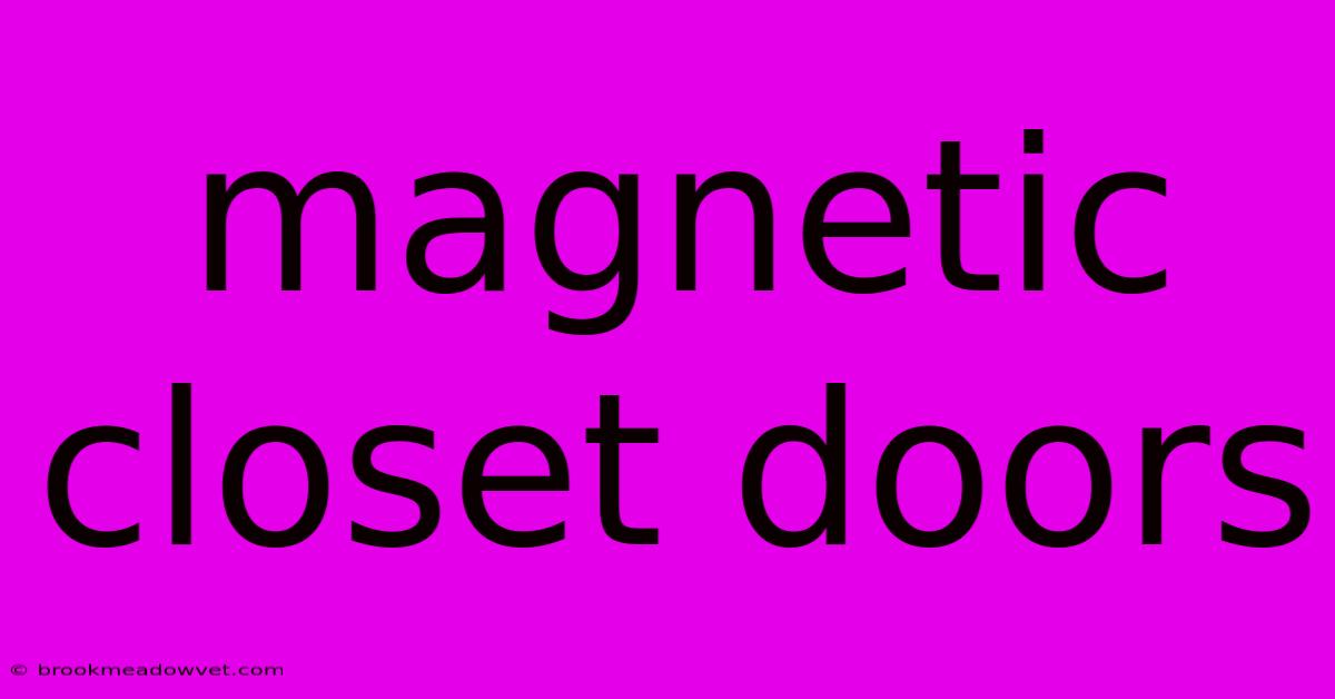 Magnetic Closet Doors