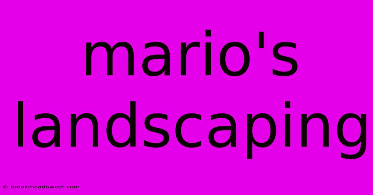 Mario's Landscaping