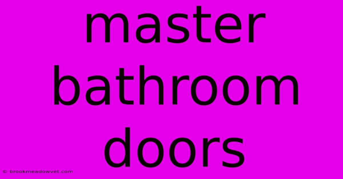 Master Bathroom Doors