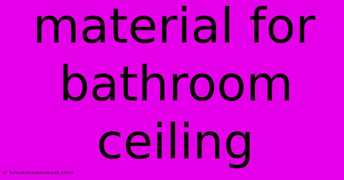 Material For Bathroom Ceiling