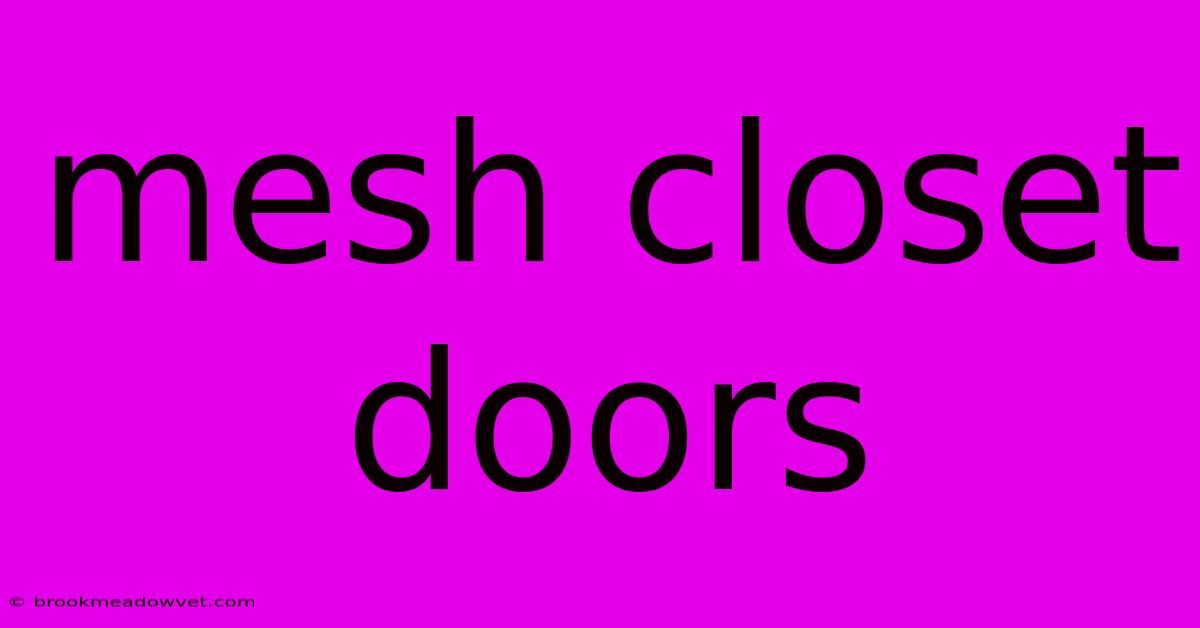 Mesh Closet Doors