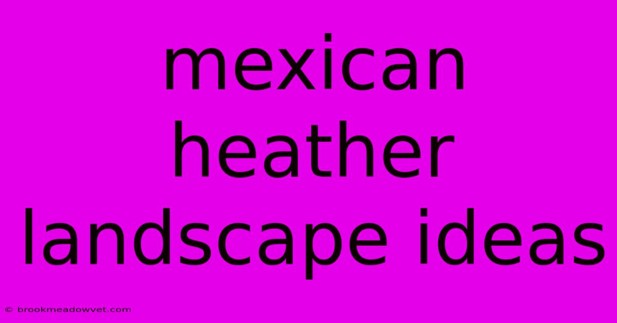 Mexican Heather Landscape Ideas