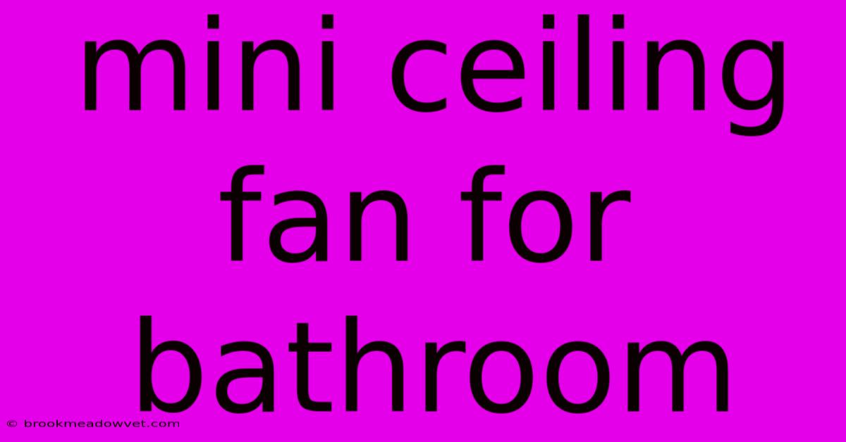 Mini Ceiling Fan For Bathroom