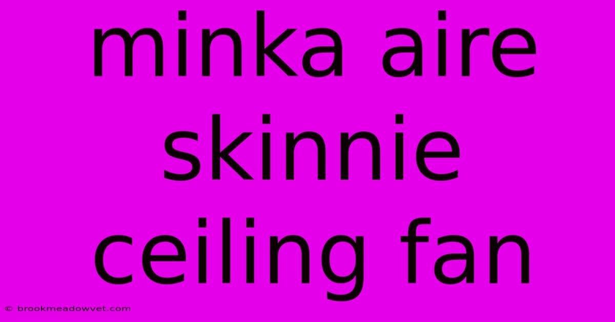 Minka Aire Skinnie Ceiling Fan