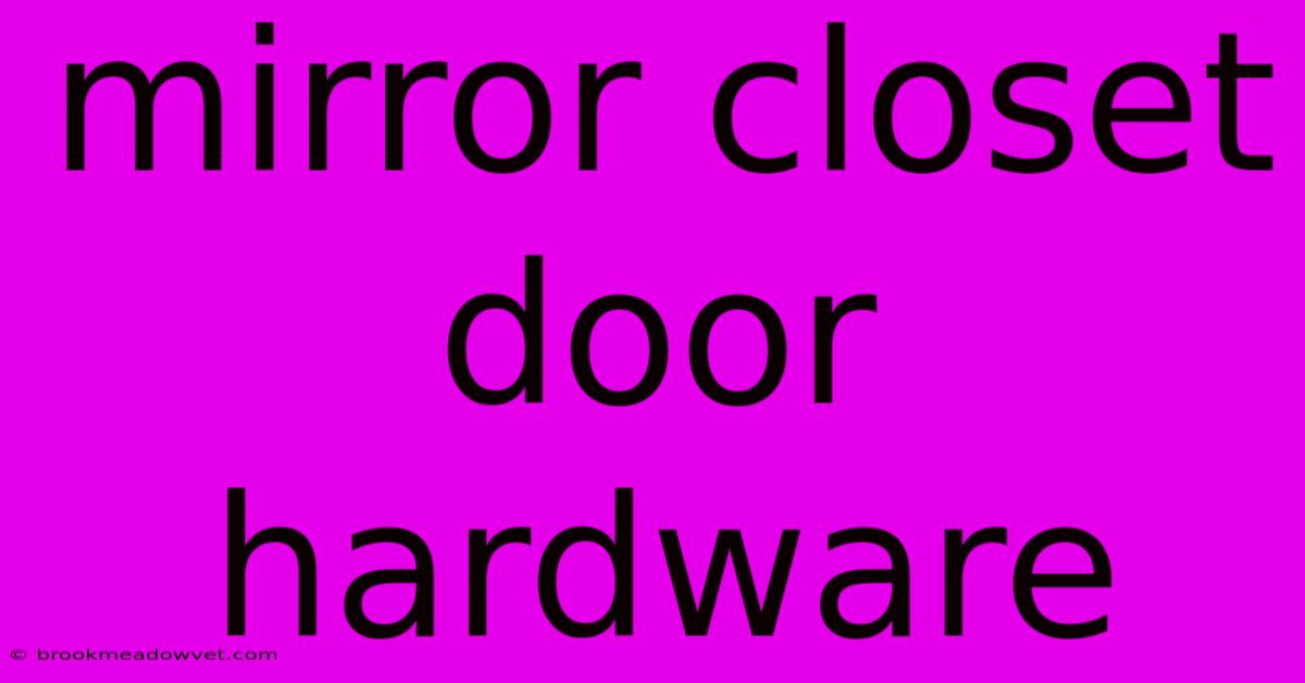 Mirror Closet Door Hardware