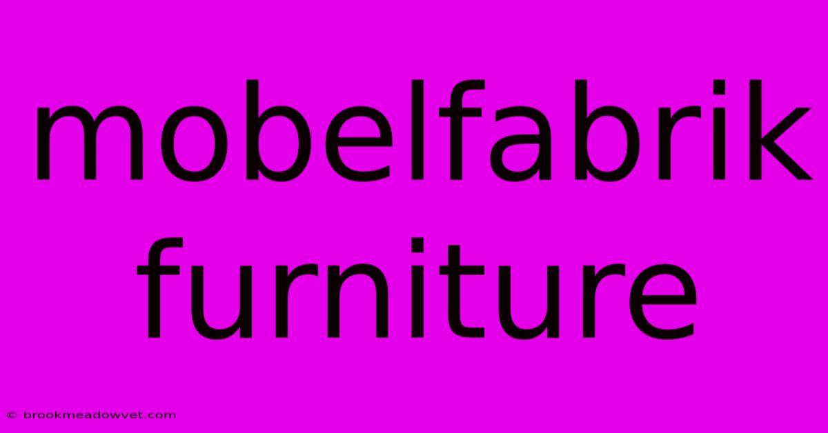 Mobelfabrik Furniture