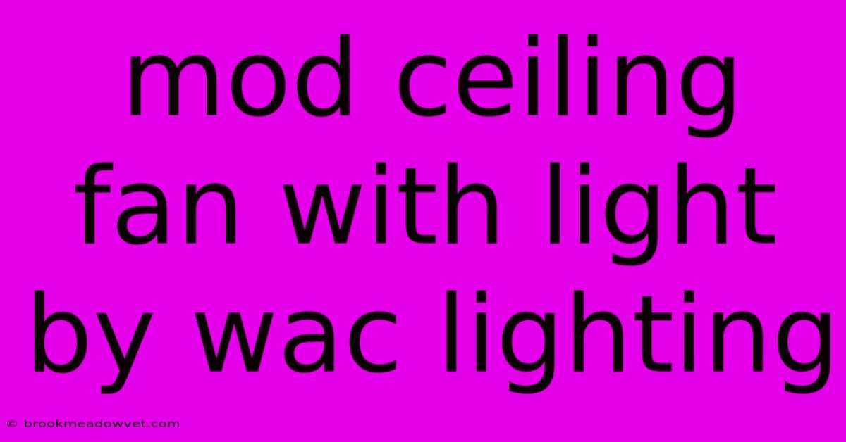 Mod Ceiling Fan With Light By Wac Lighting