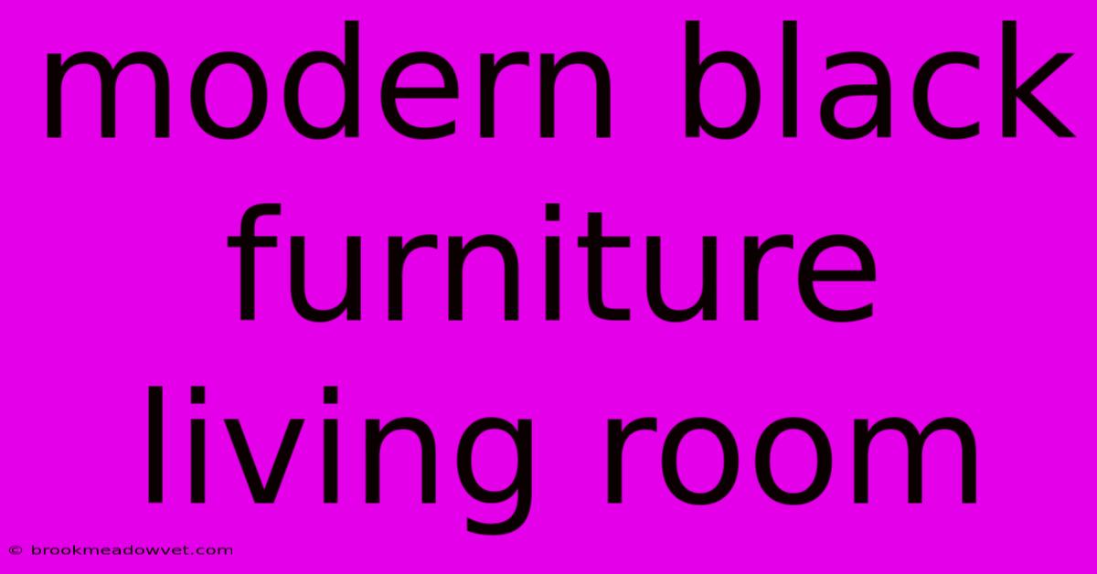 Modern Black Furniture Living Room