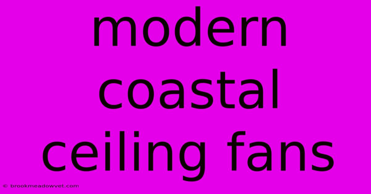 Modern Coastal Ceiling Fans