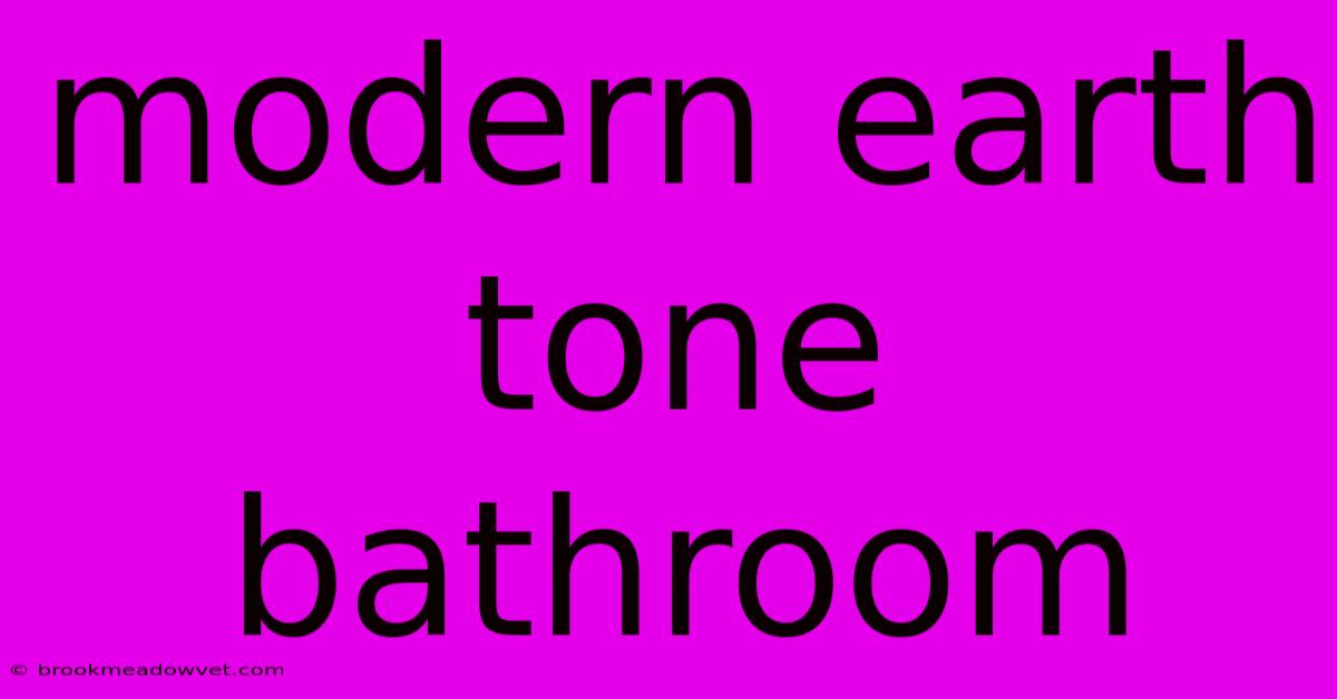 Modern Earth Tone Bathroom