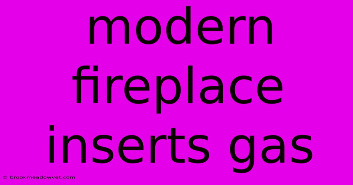 Modern Fireplace Inserts Gas